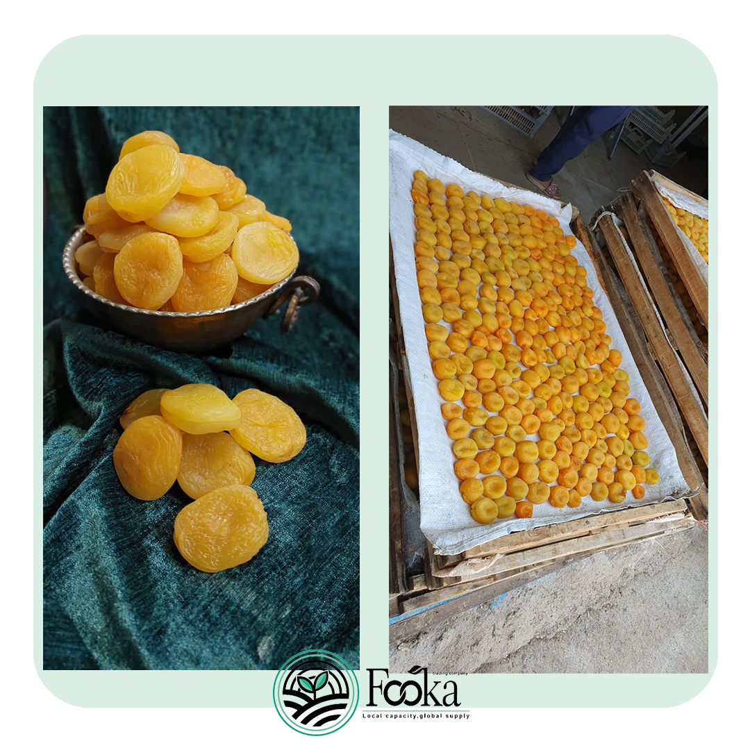 Sizing dried apricots