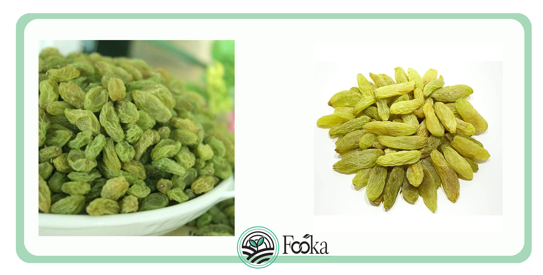 Kashmiri green raisins