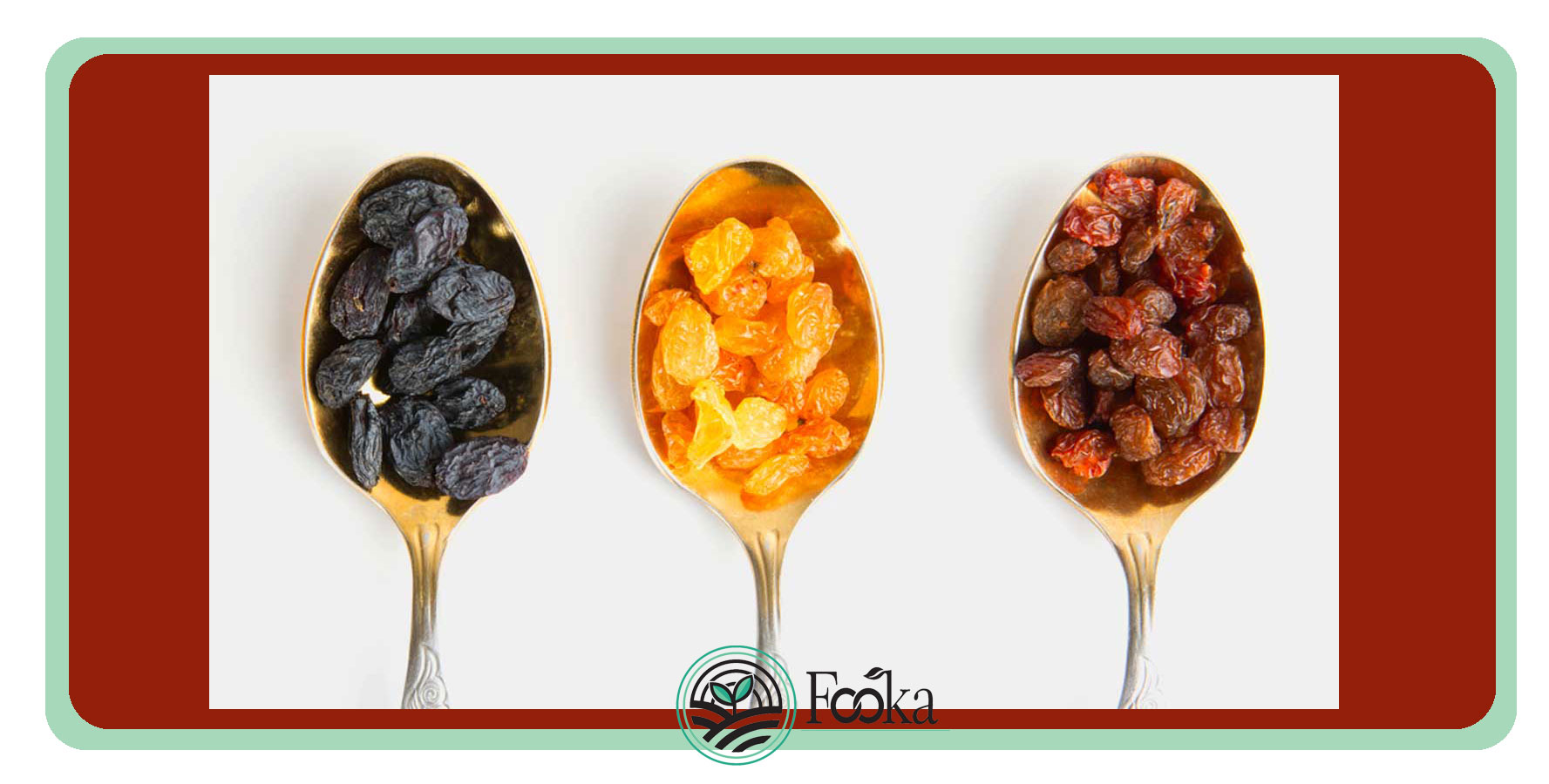 what is the difference between a currant and a raisin?