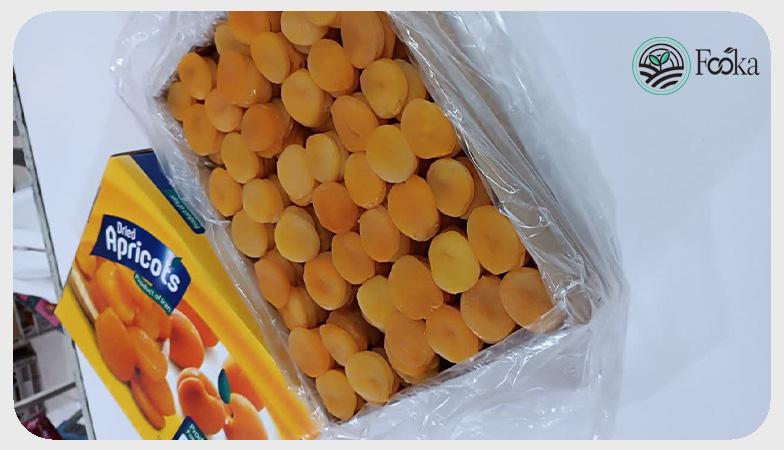 Iranian Dried Apricots export